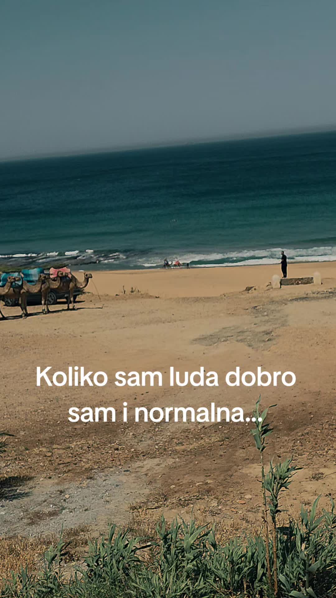 @✈️solo igračica✈️ 🥇 &reg;️