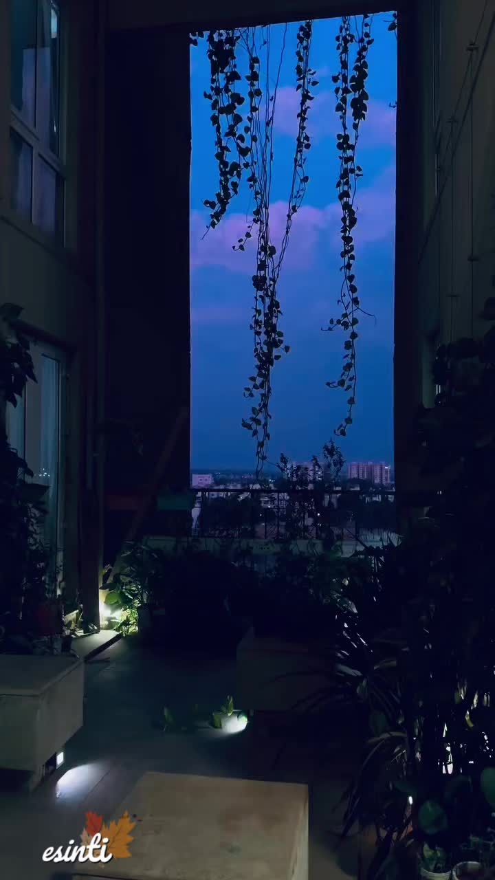 @༄༄𝓔𝓼𝓲𝓷𝓽𝓲༄༄