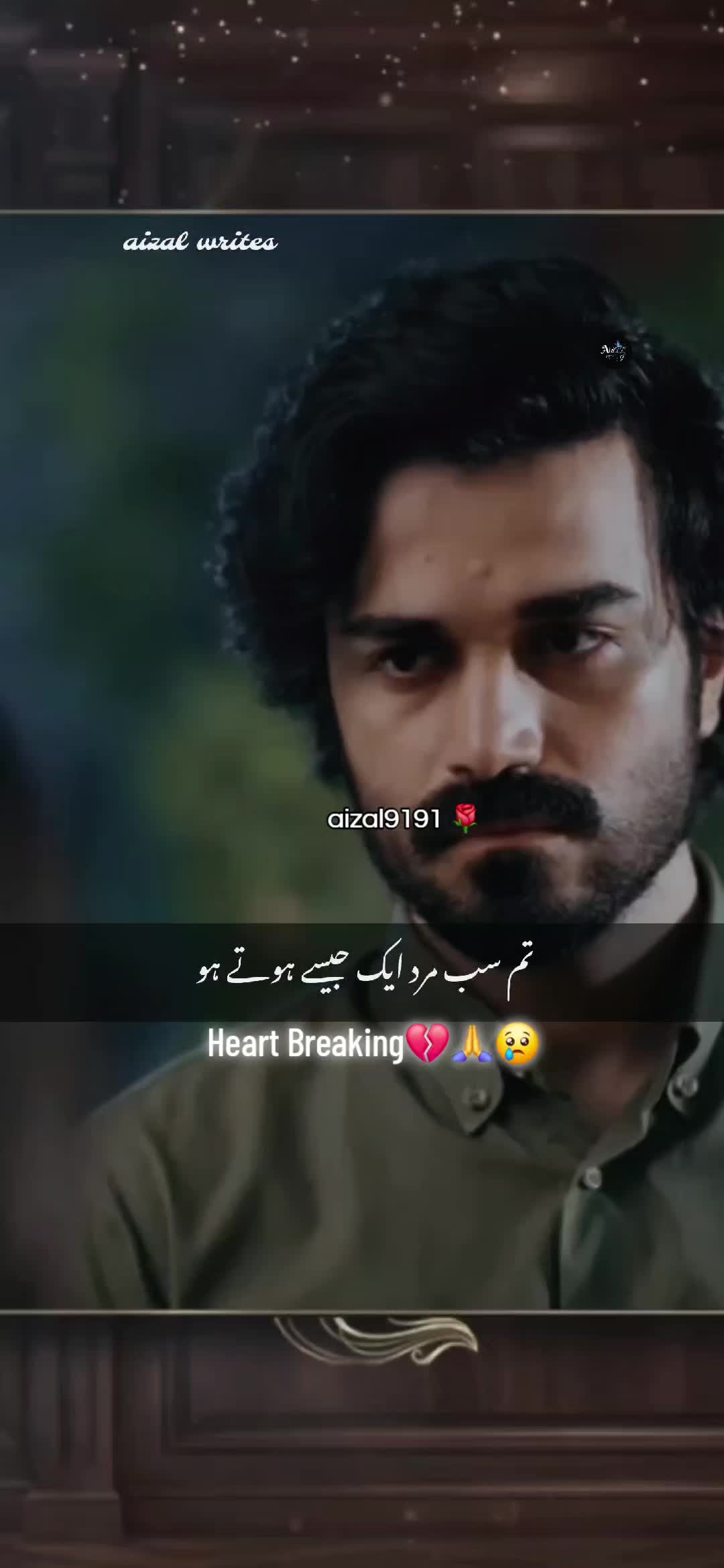 @🌺aizal_writes🌺