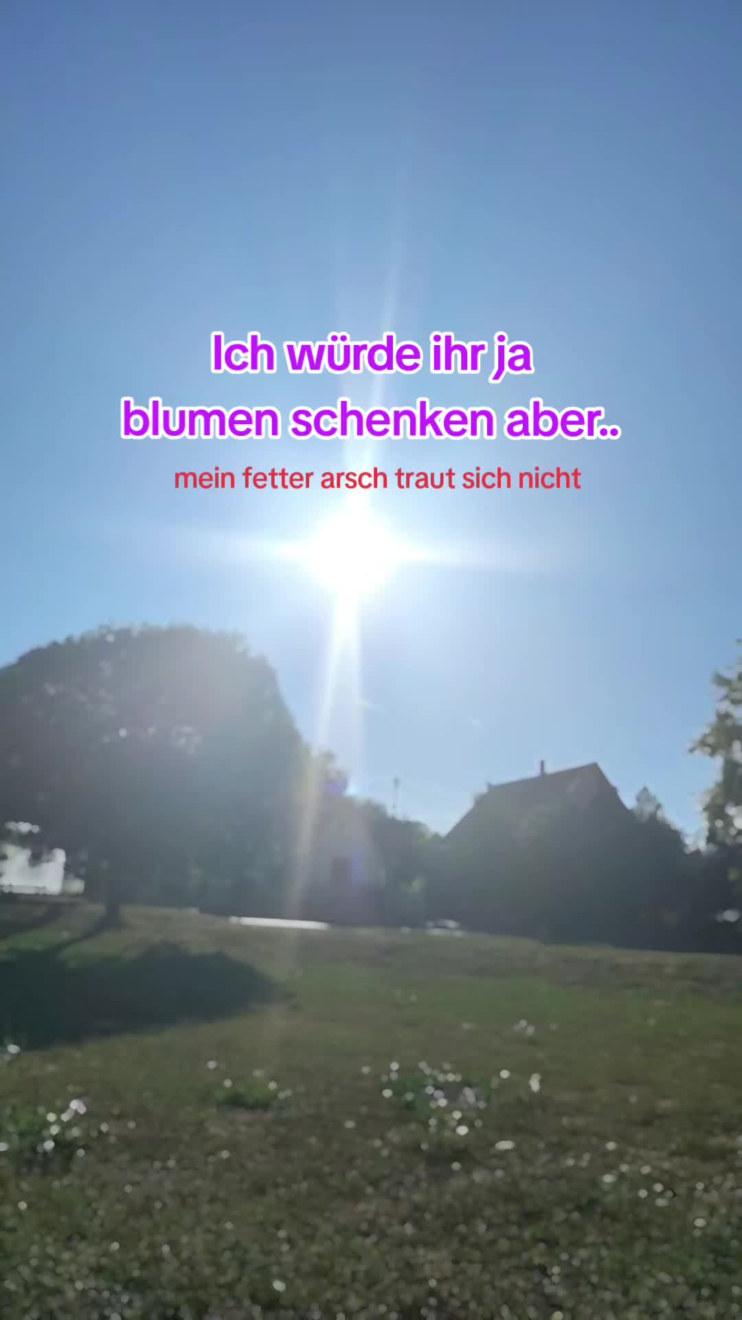 @alex.f12