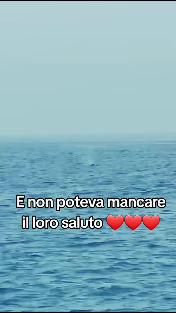 @IMMA ❣️❣️❣️