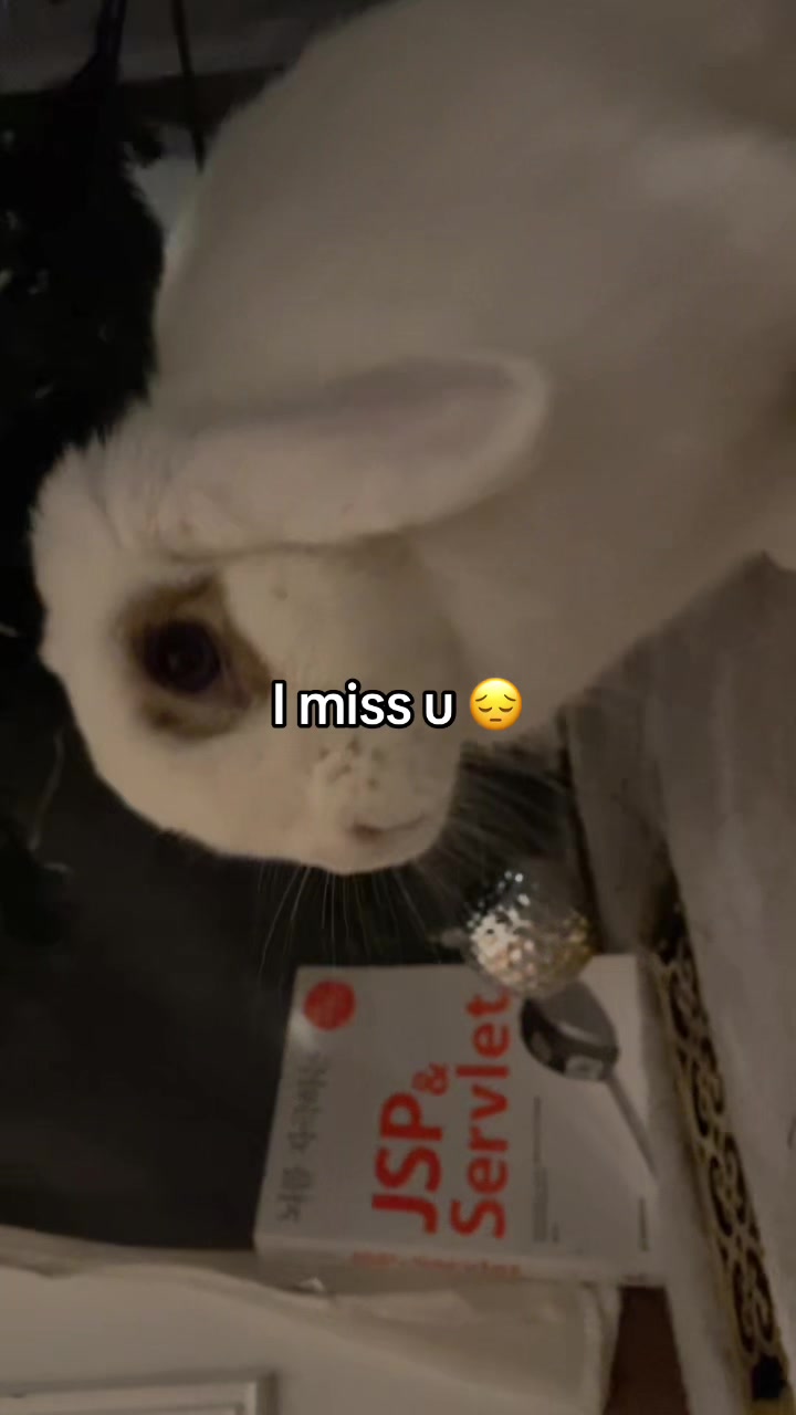 @yonjinggi