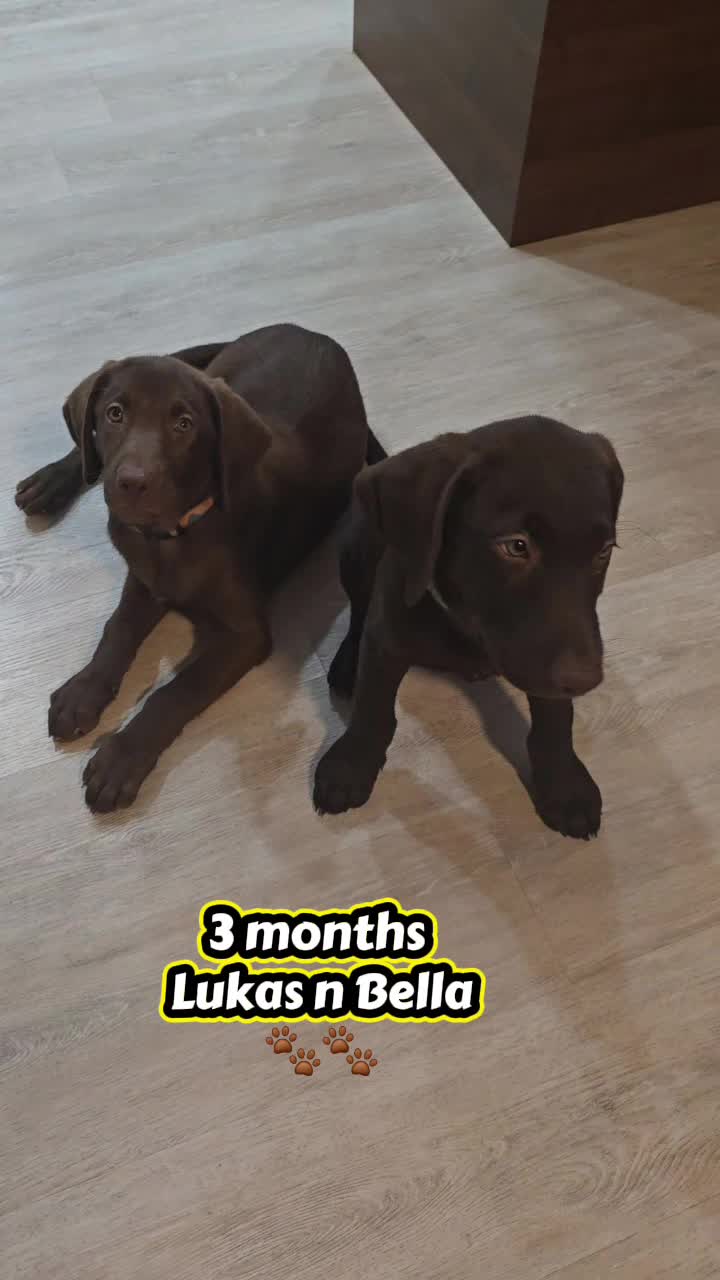 @Lukas&Bella