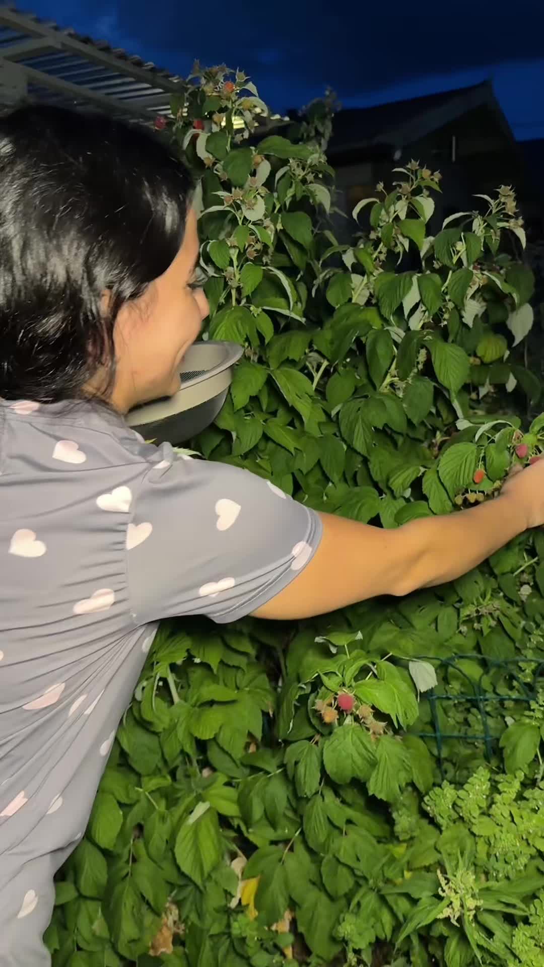 @cansumiyy 🧚🏼&zwj;♀️
