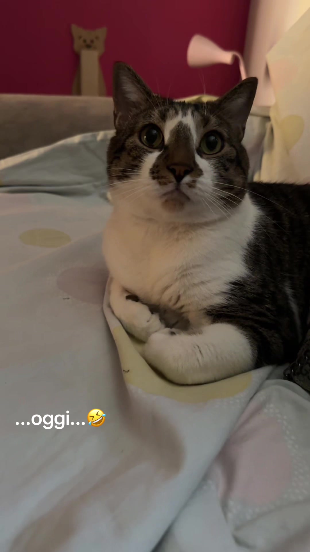 @Tizzi e i suoi pelosi😍😍