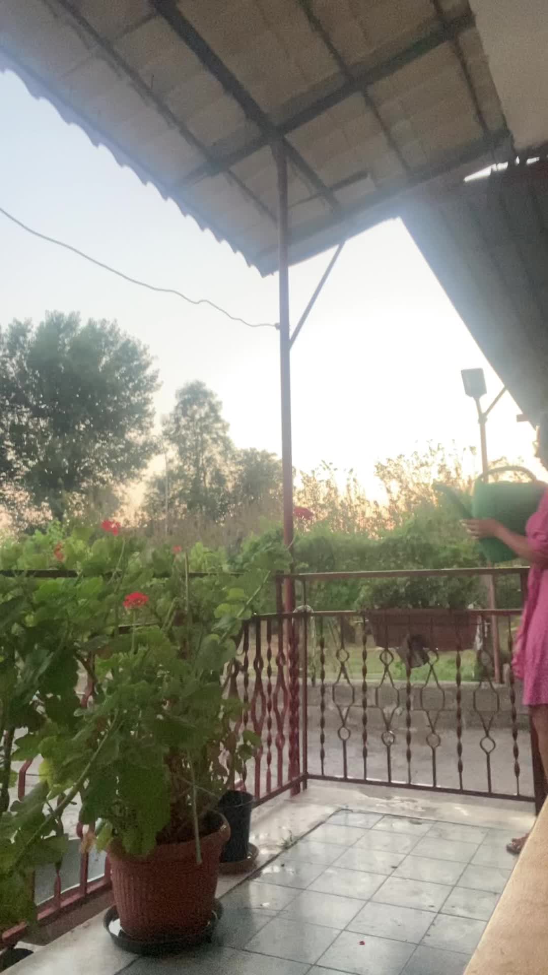 @🌹𝑨𝒍𝒃𝒂.