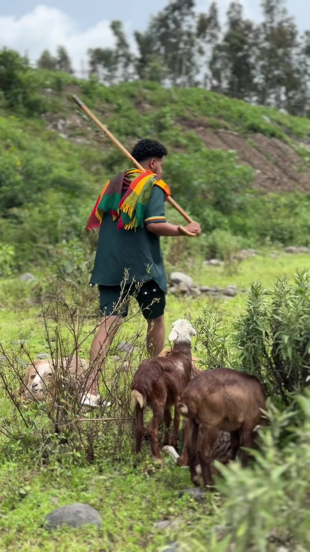 @abitiy ጎንደሬዉ🦅