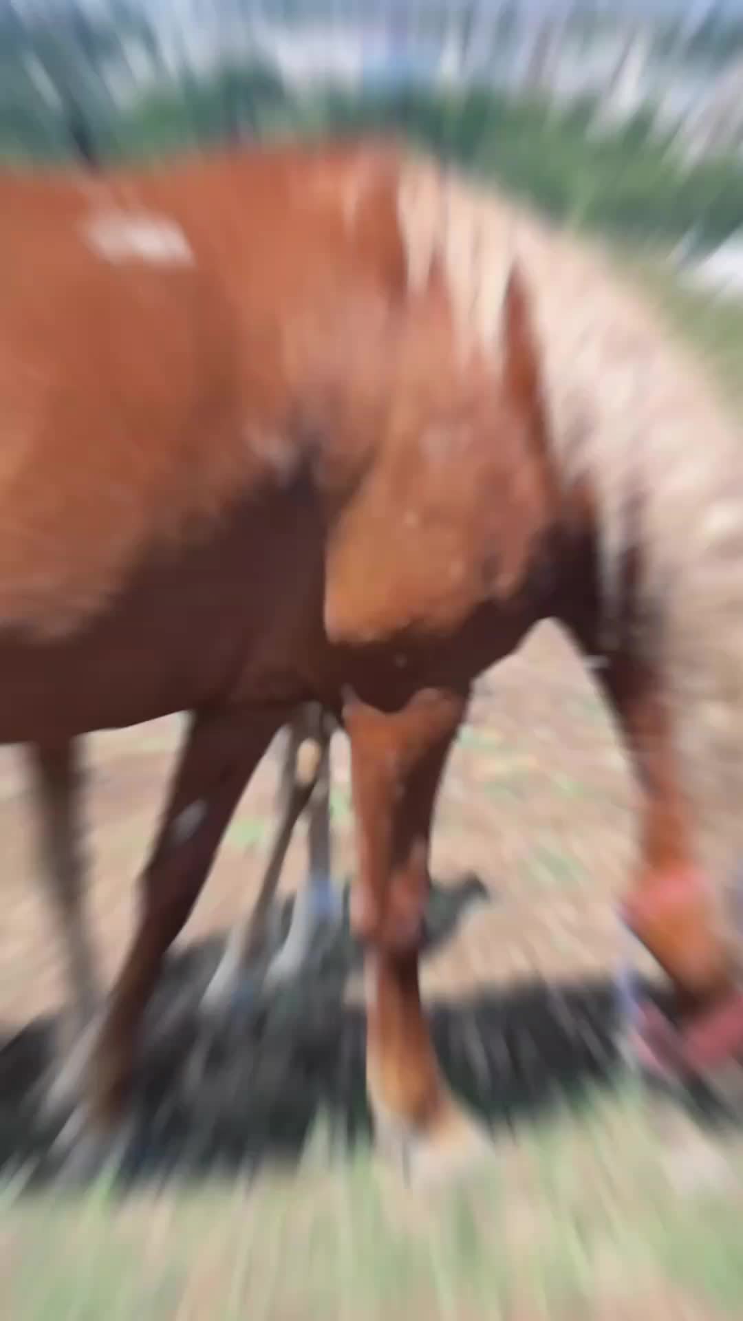 @Ольга