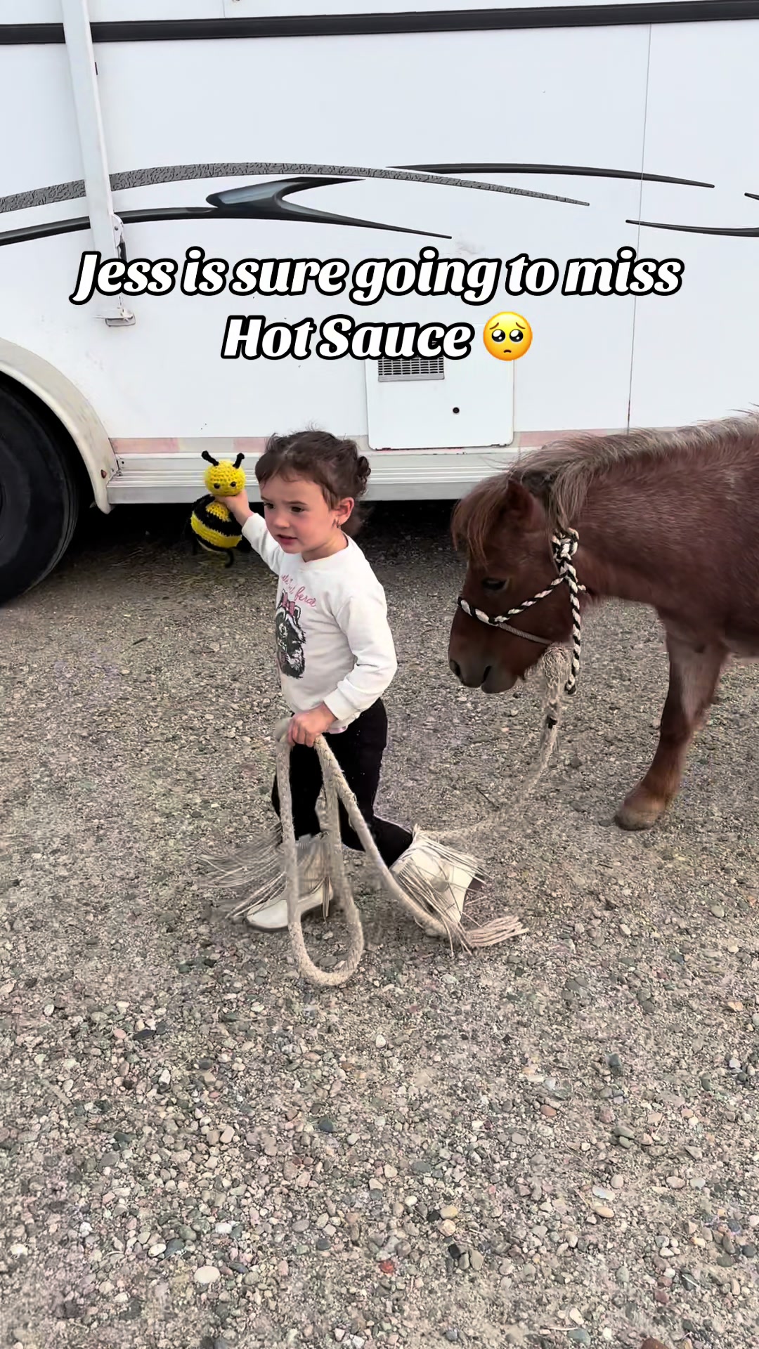 @Hot Sauce the Mini horse 🐎