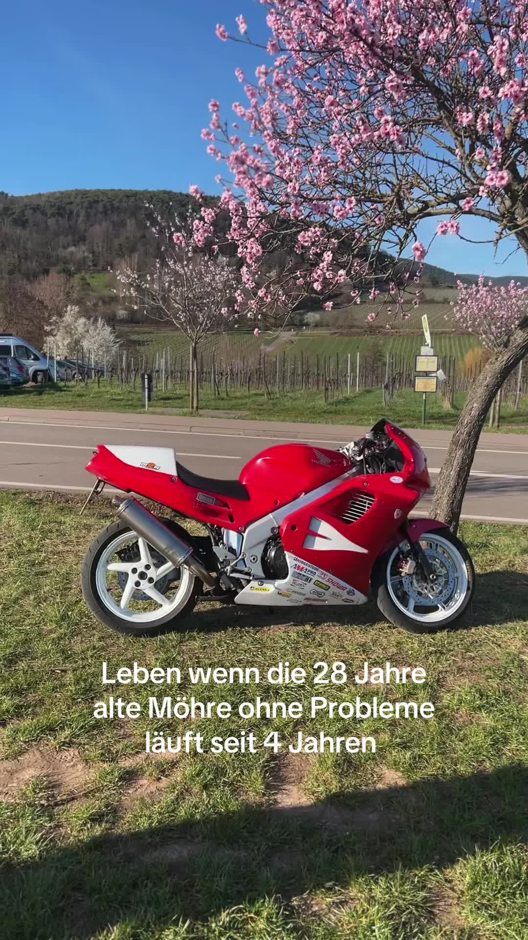 @crainz750