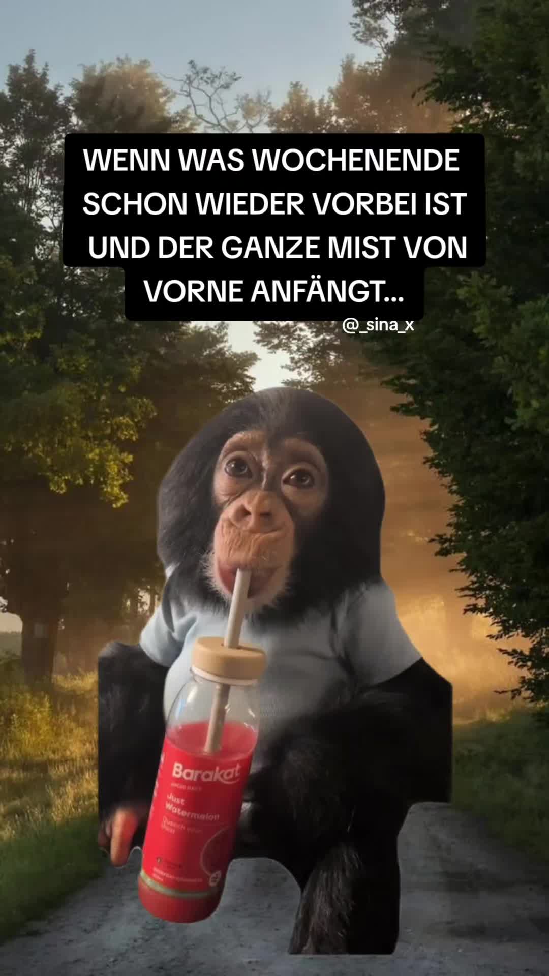 @𝙭𝙎𝙞𝙣𝙖🎮