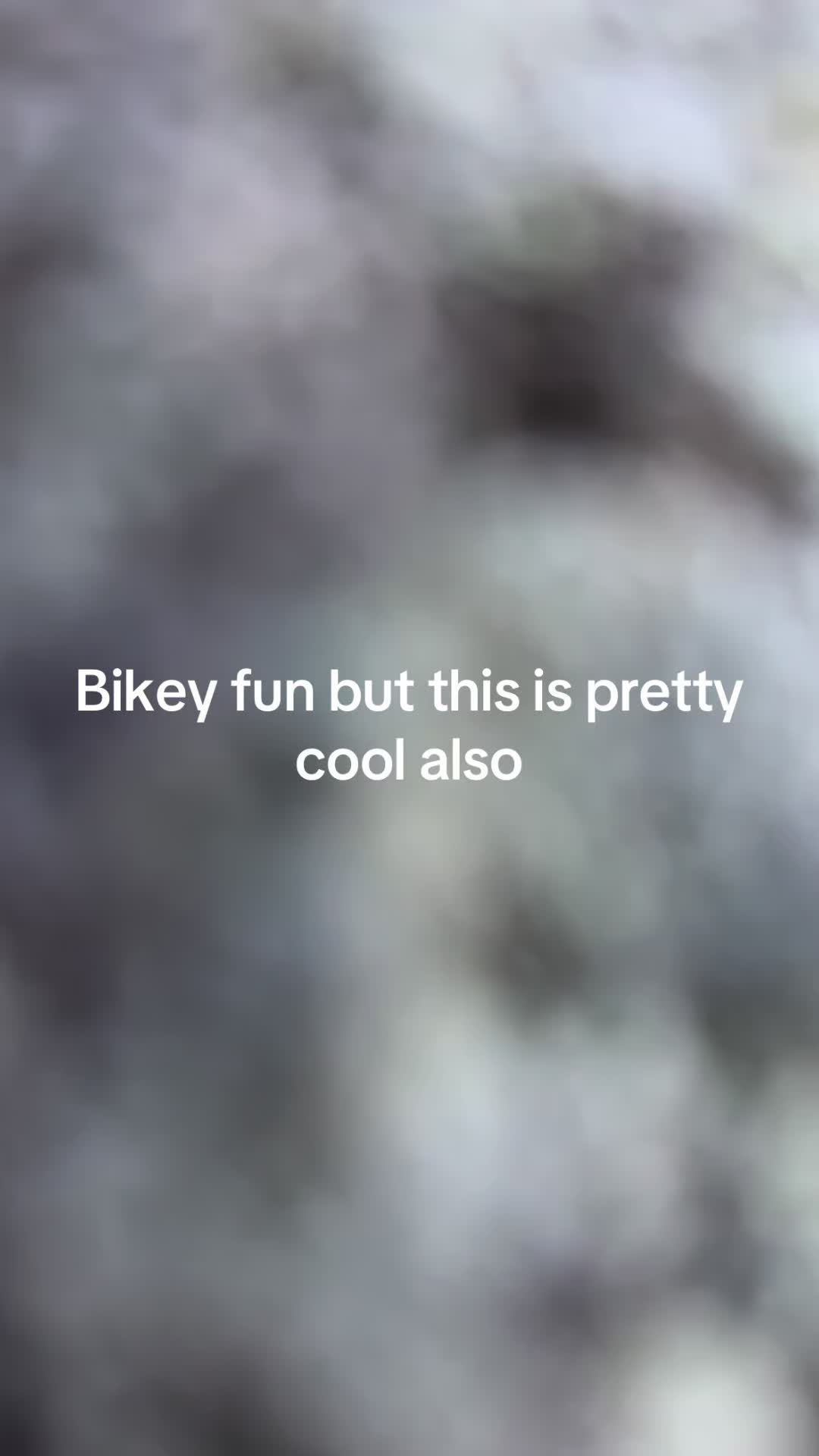 @IN.Finn