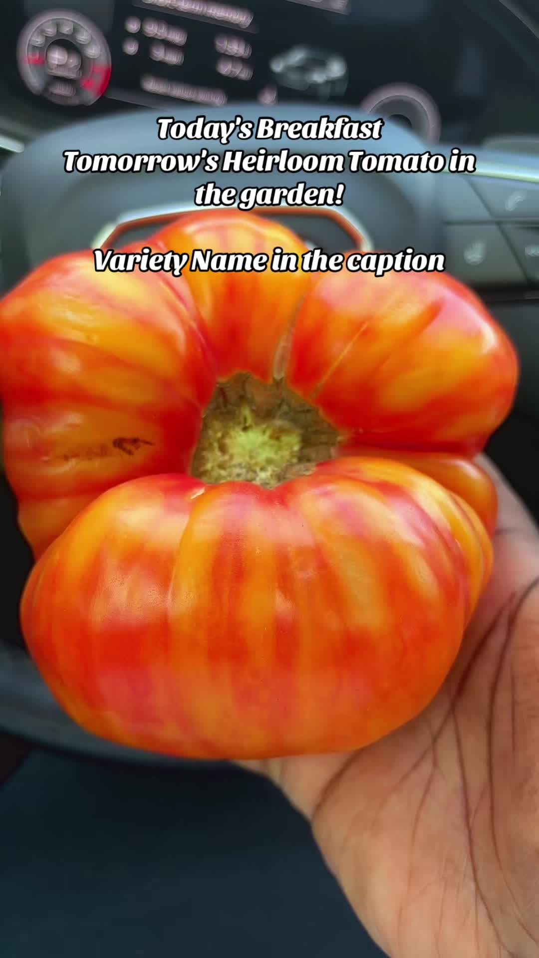 @greengirlgardens