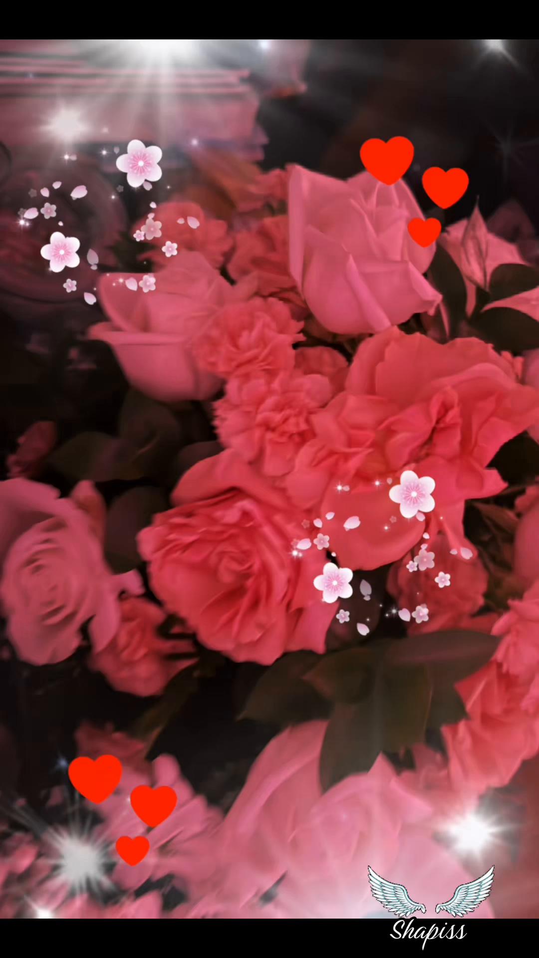 @Shapiss🕊️