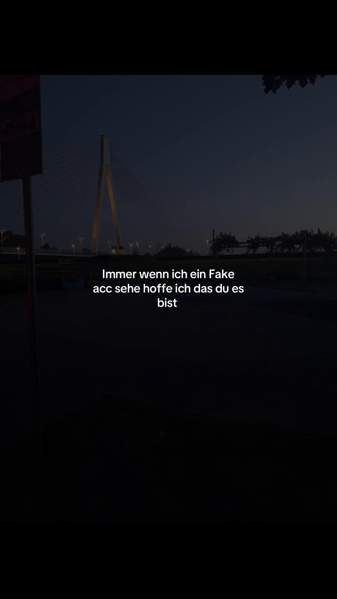 @🥭aria