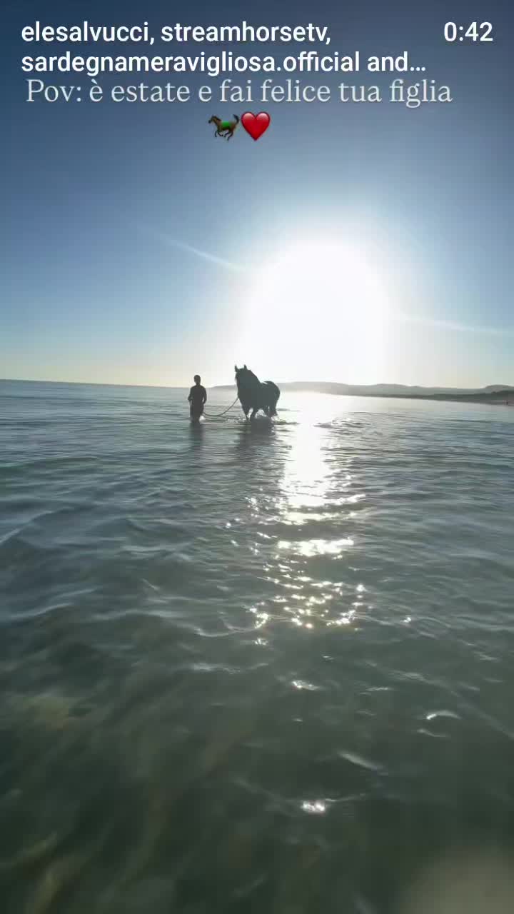 @streamhorse