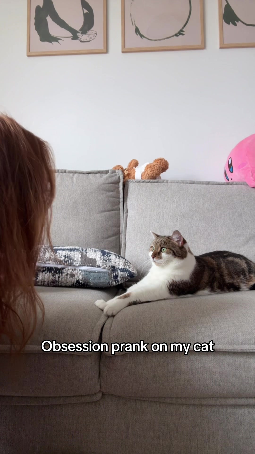@Suki Purrs