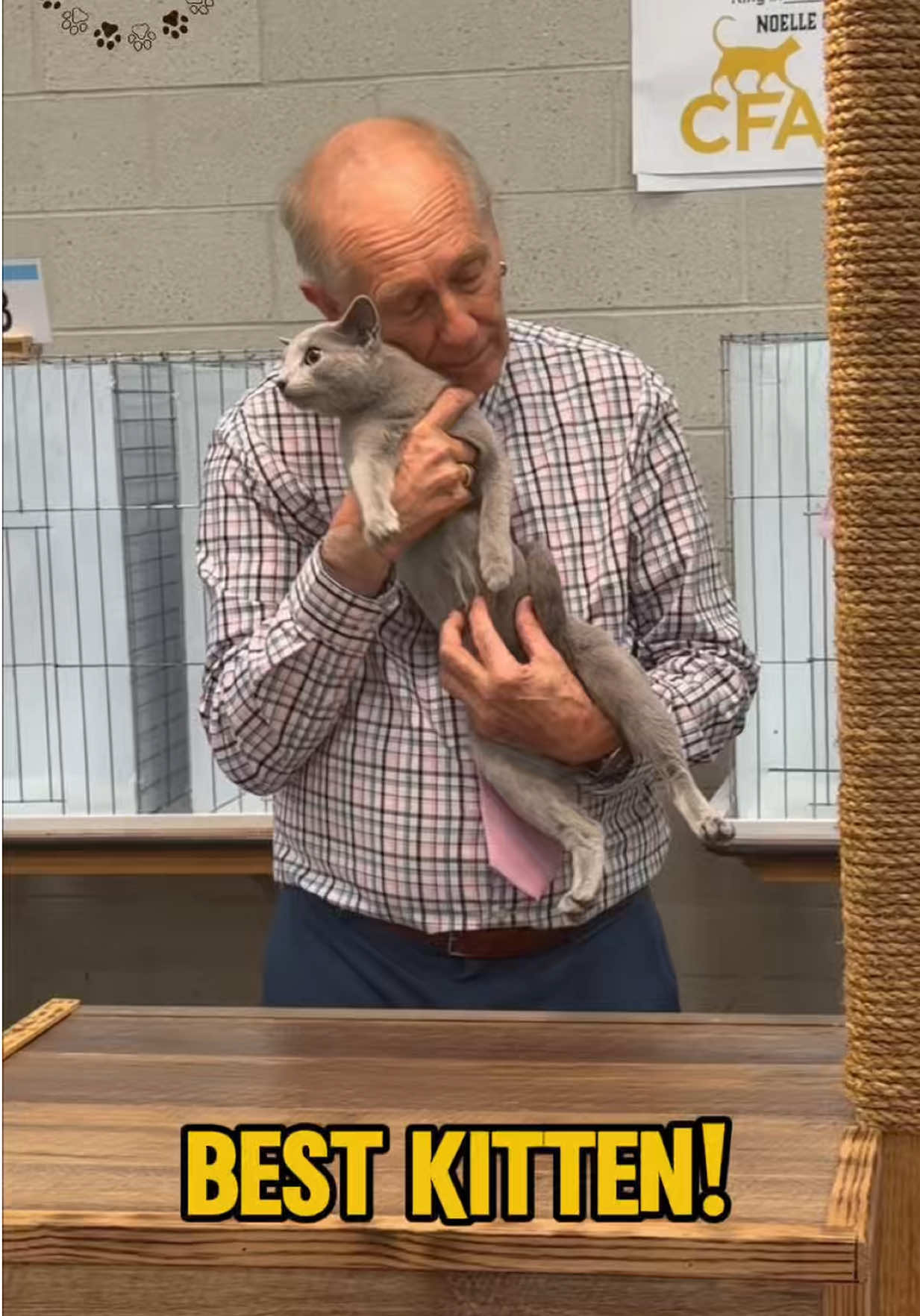 @NewVisionCatClub