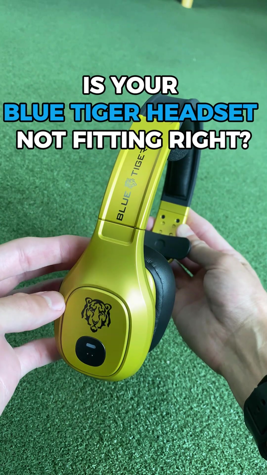 @Blue Tiger