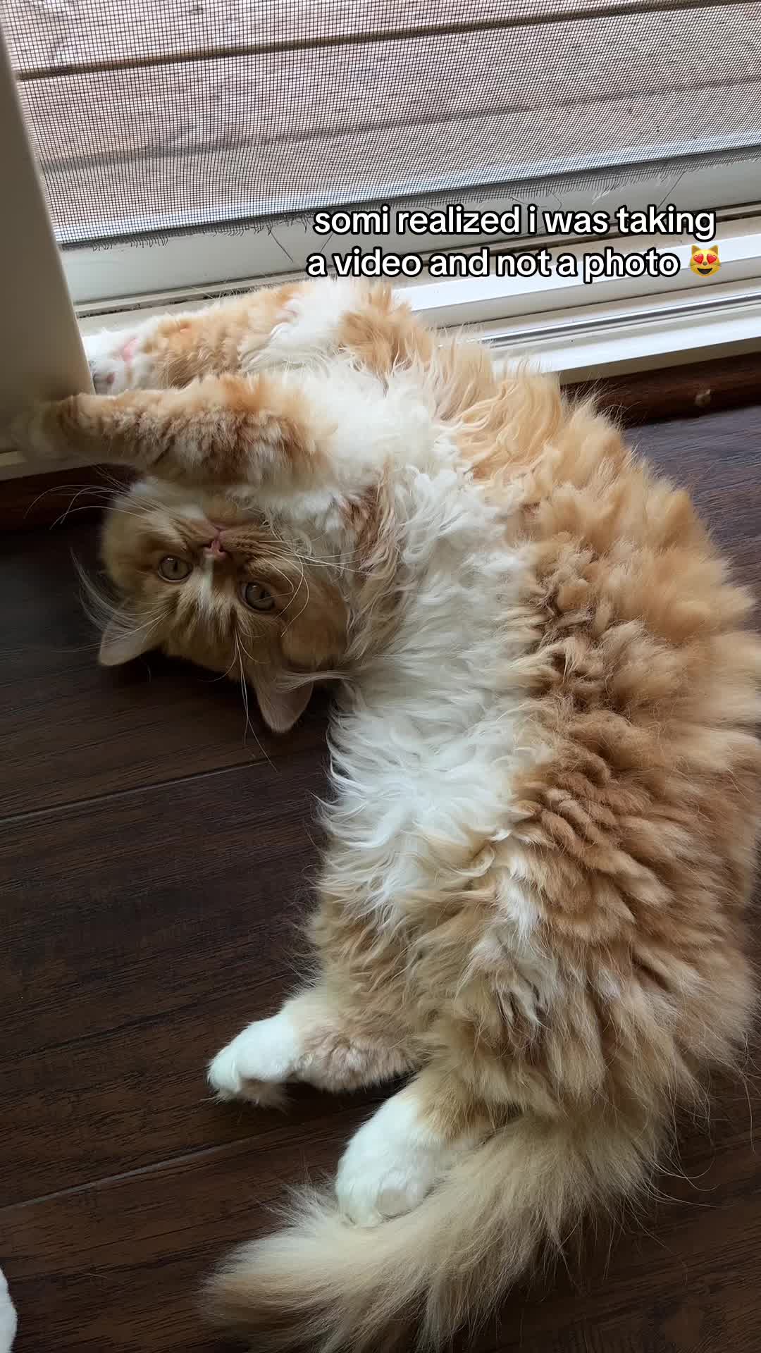 @somithepersian