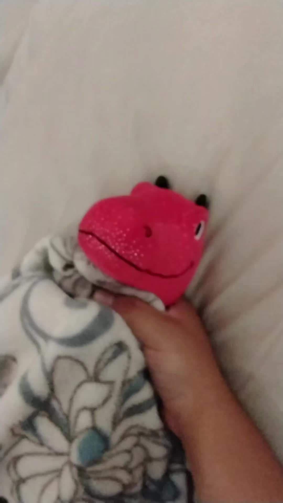 @Kermit The Frog Tiktok