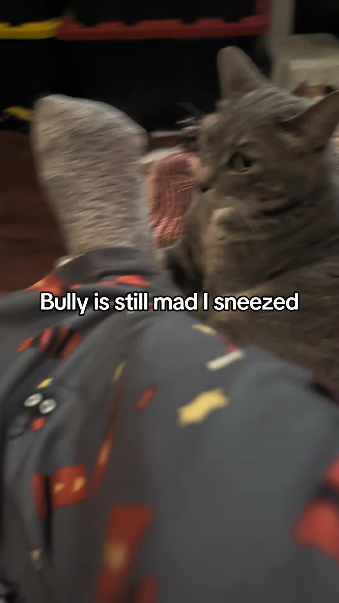 @BuffyTheKittenSpayer