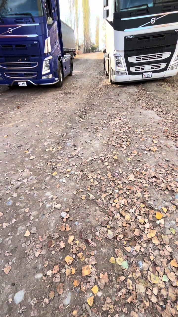@zayirjanovv