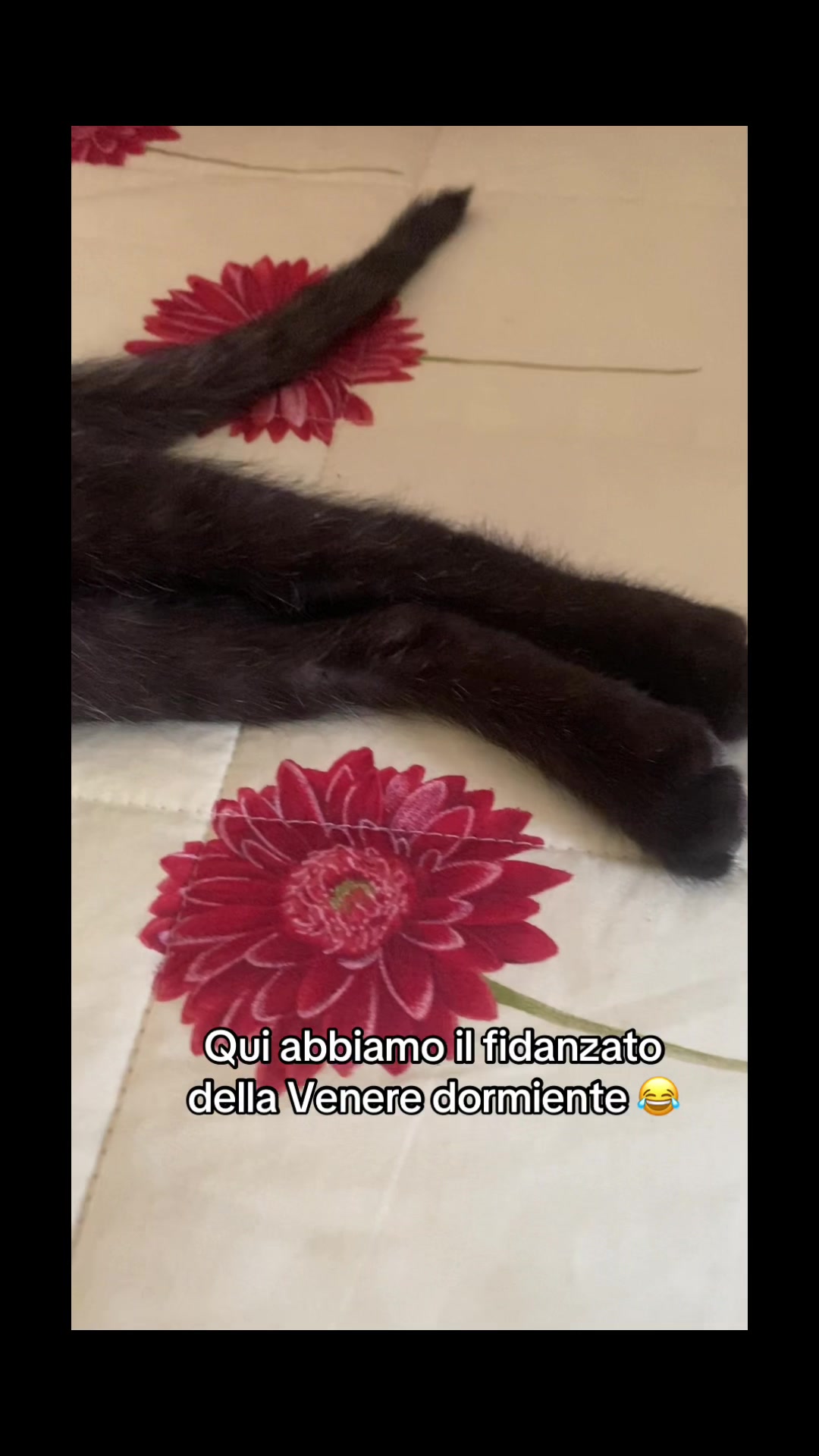 @๐น๐จ๐๐๐.