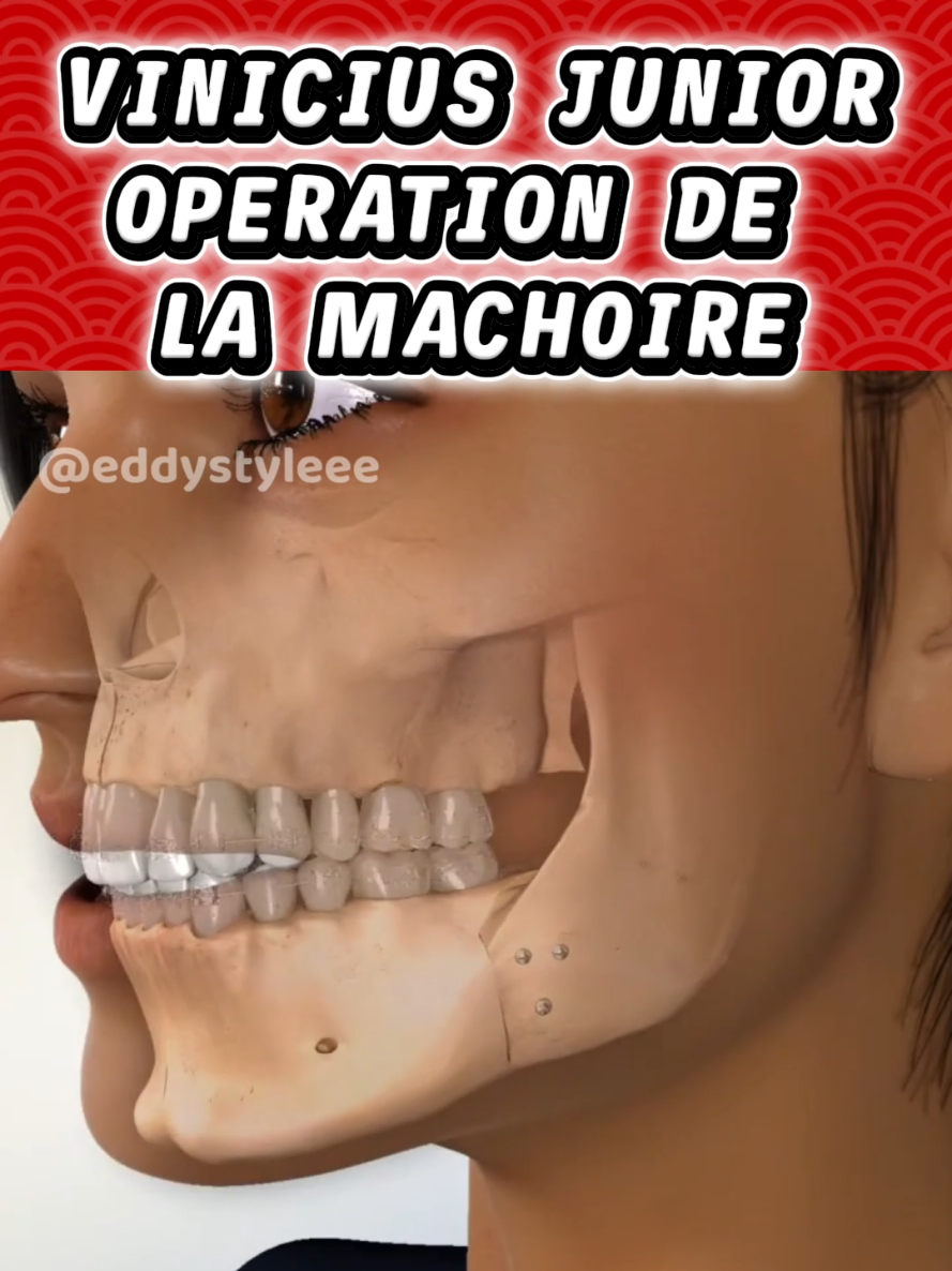 @Docteur Shepherd