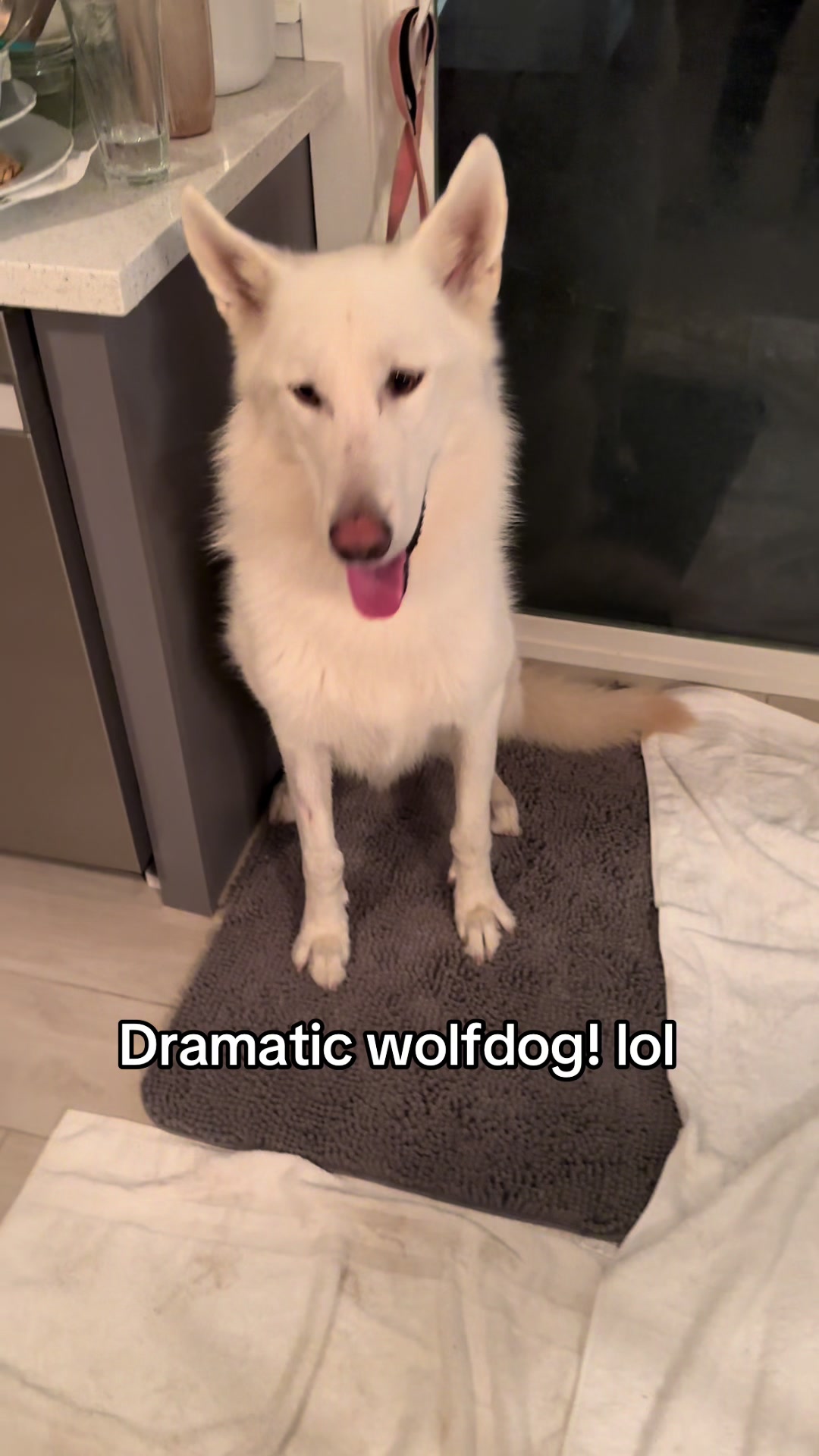 @Loki the Flame Keeper 🐺