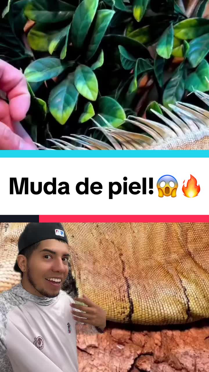 @Soy Sebassalvaje (dúos)