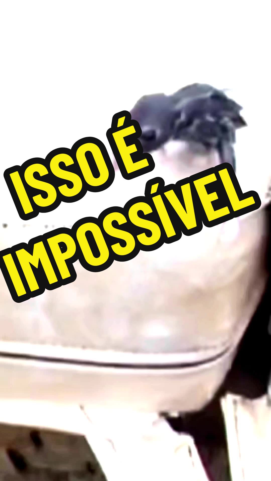 @guizera FF