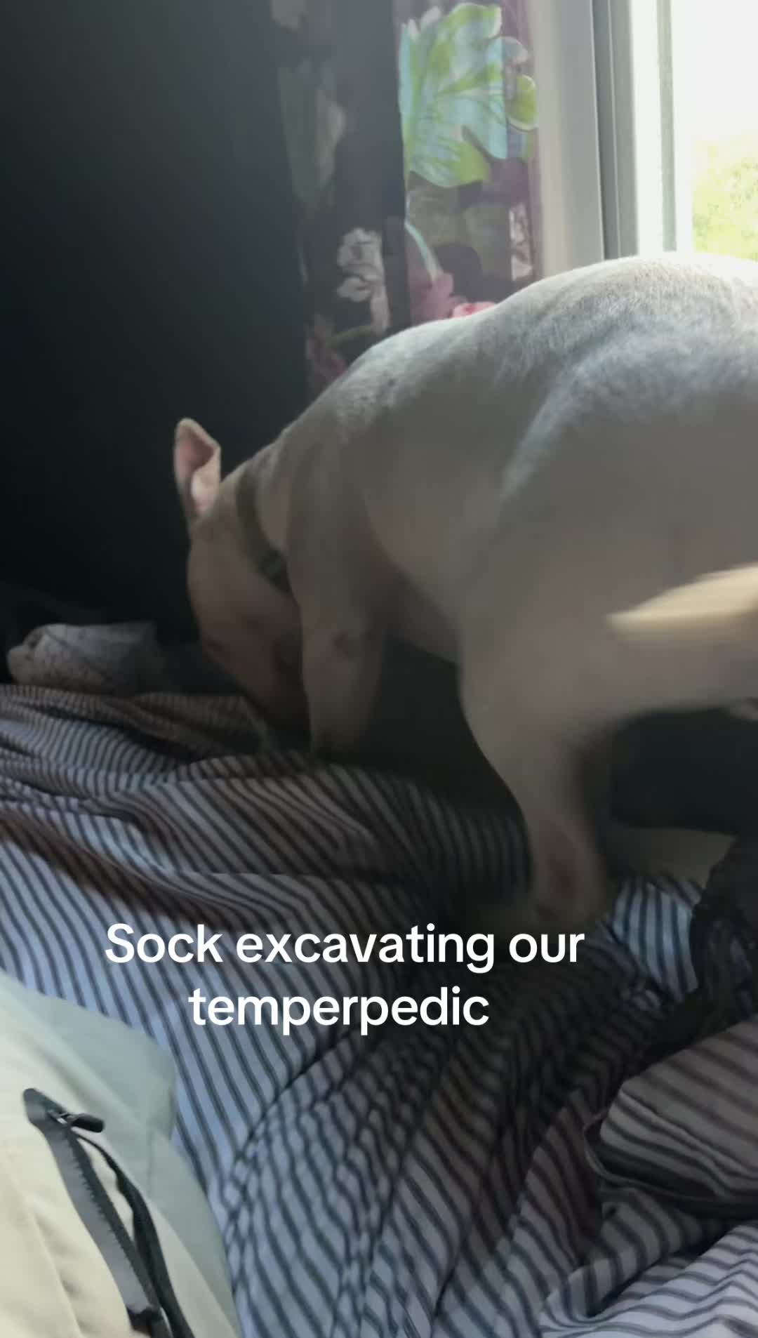 @MrJMika