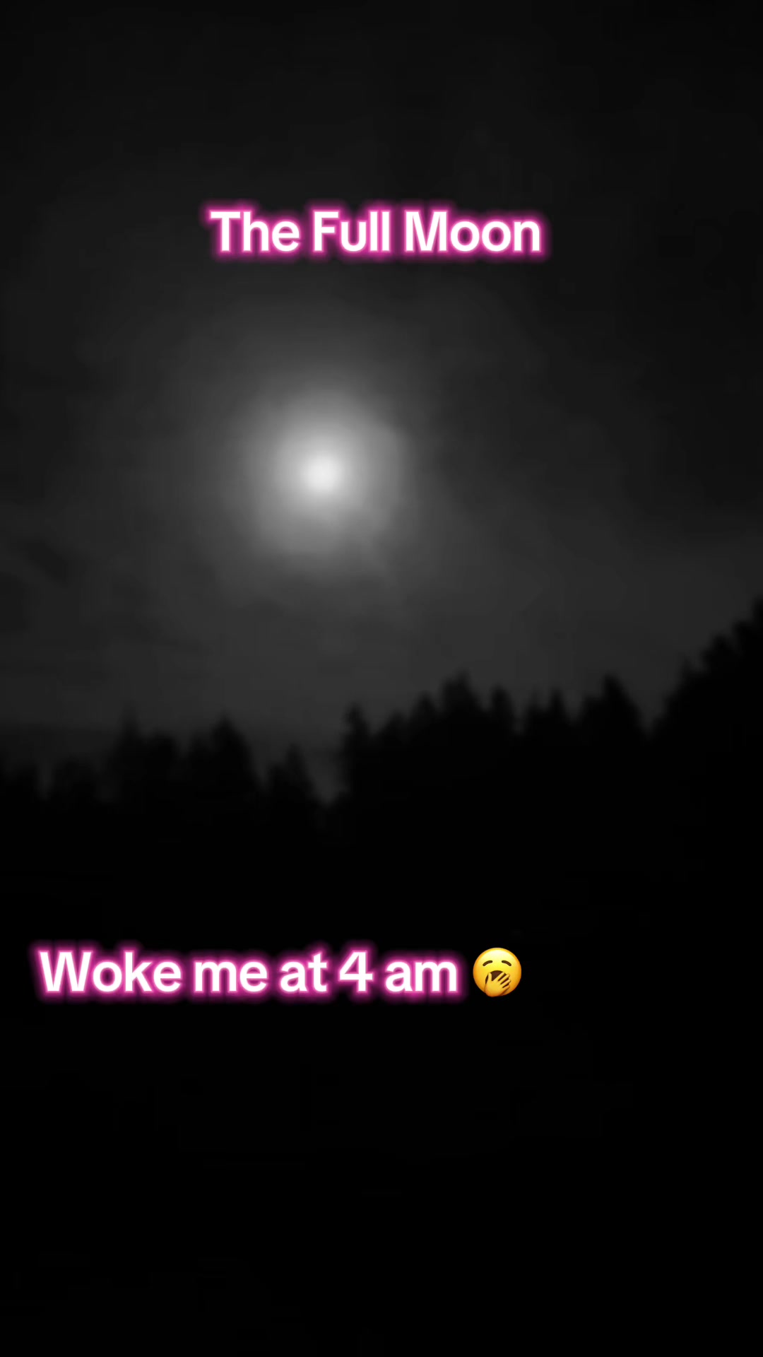 @bridgeofthegodstarot