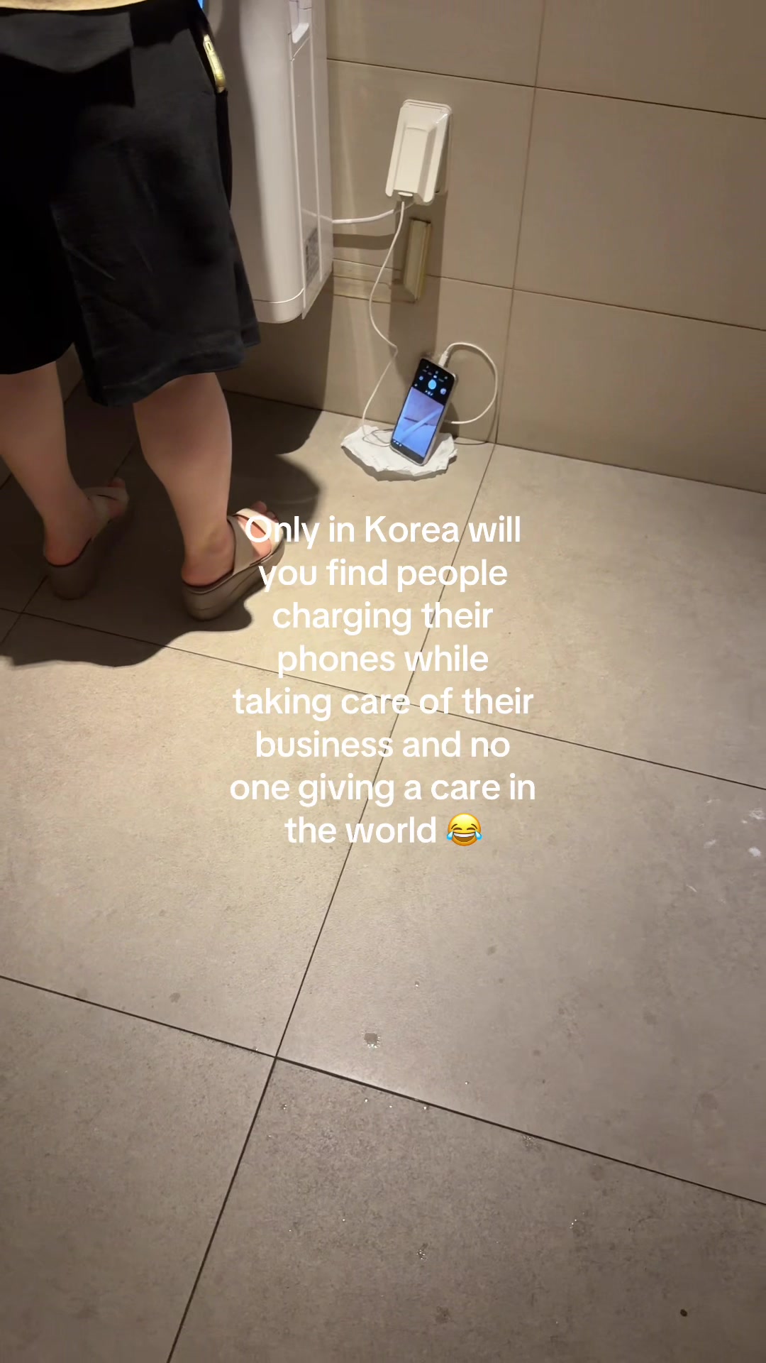 @BellaBee