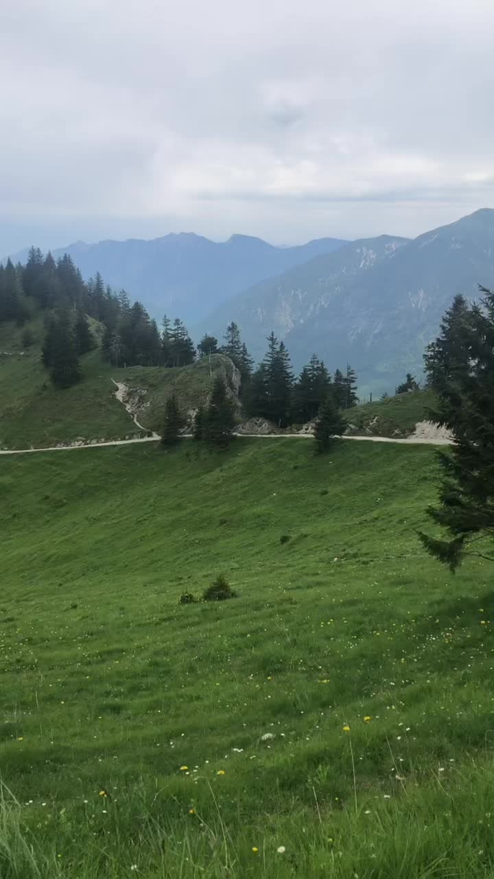 @Danielle 🇺🇸 in 🇩🇪
