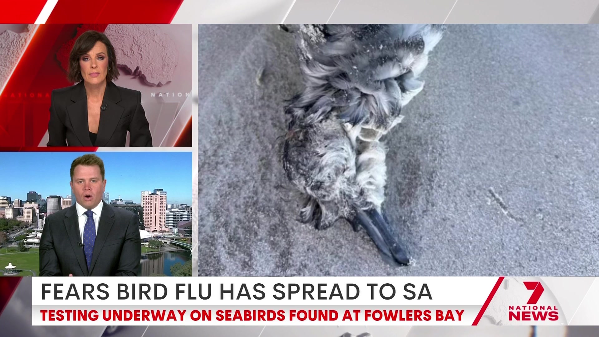 @7NEWSAdelaide