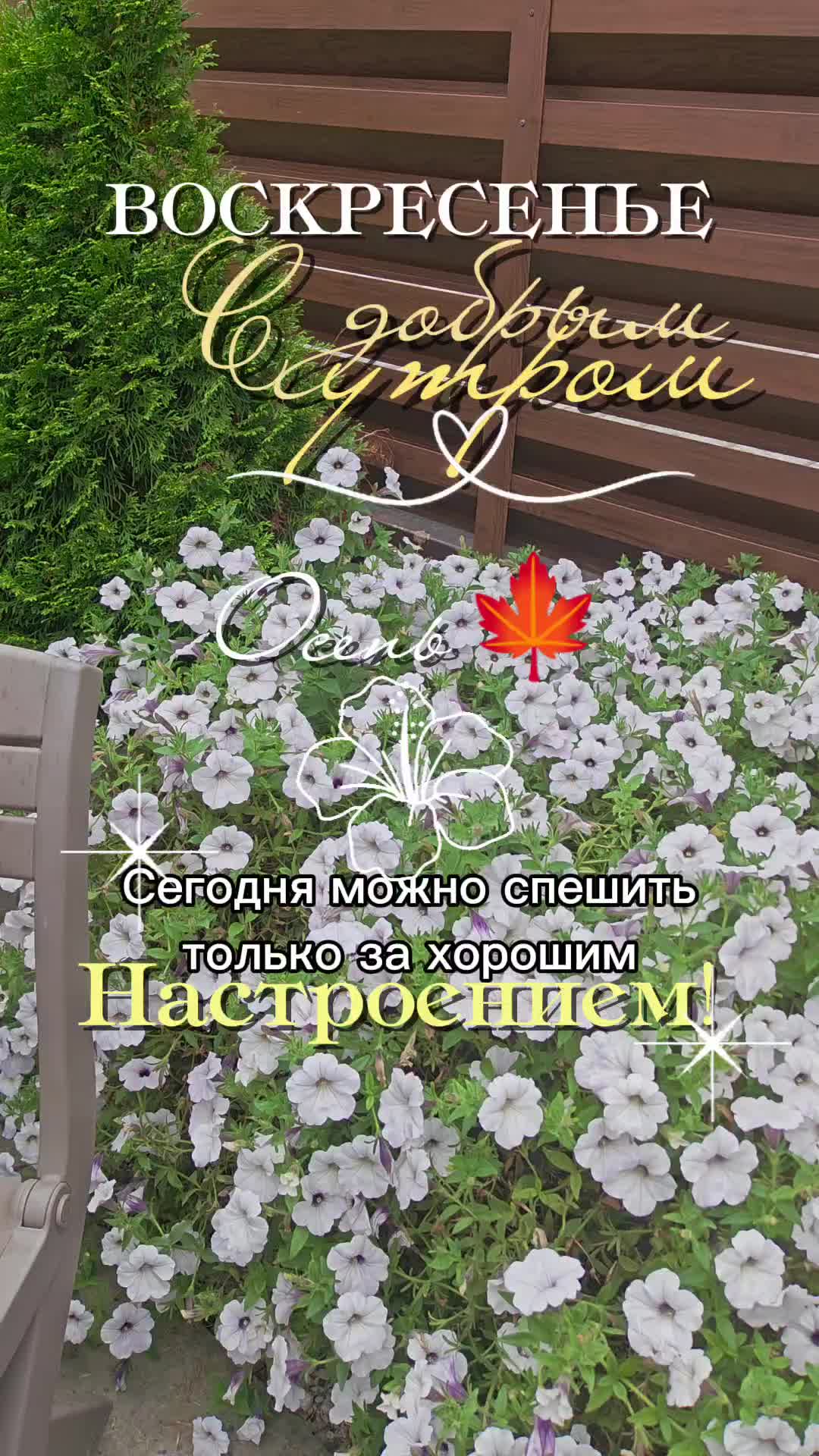 @Лариса Суворова