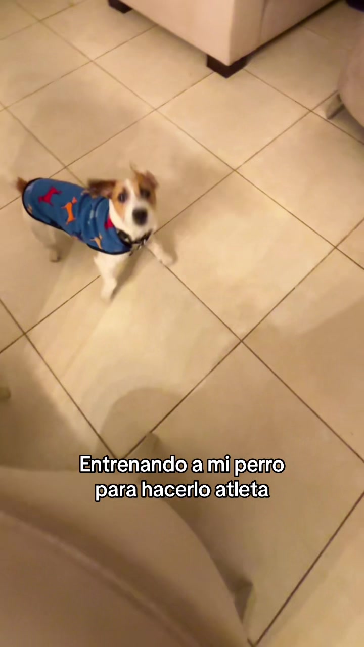 @Candebo