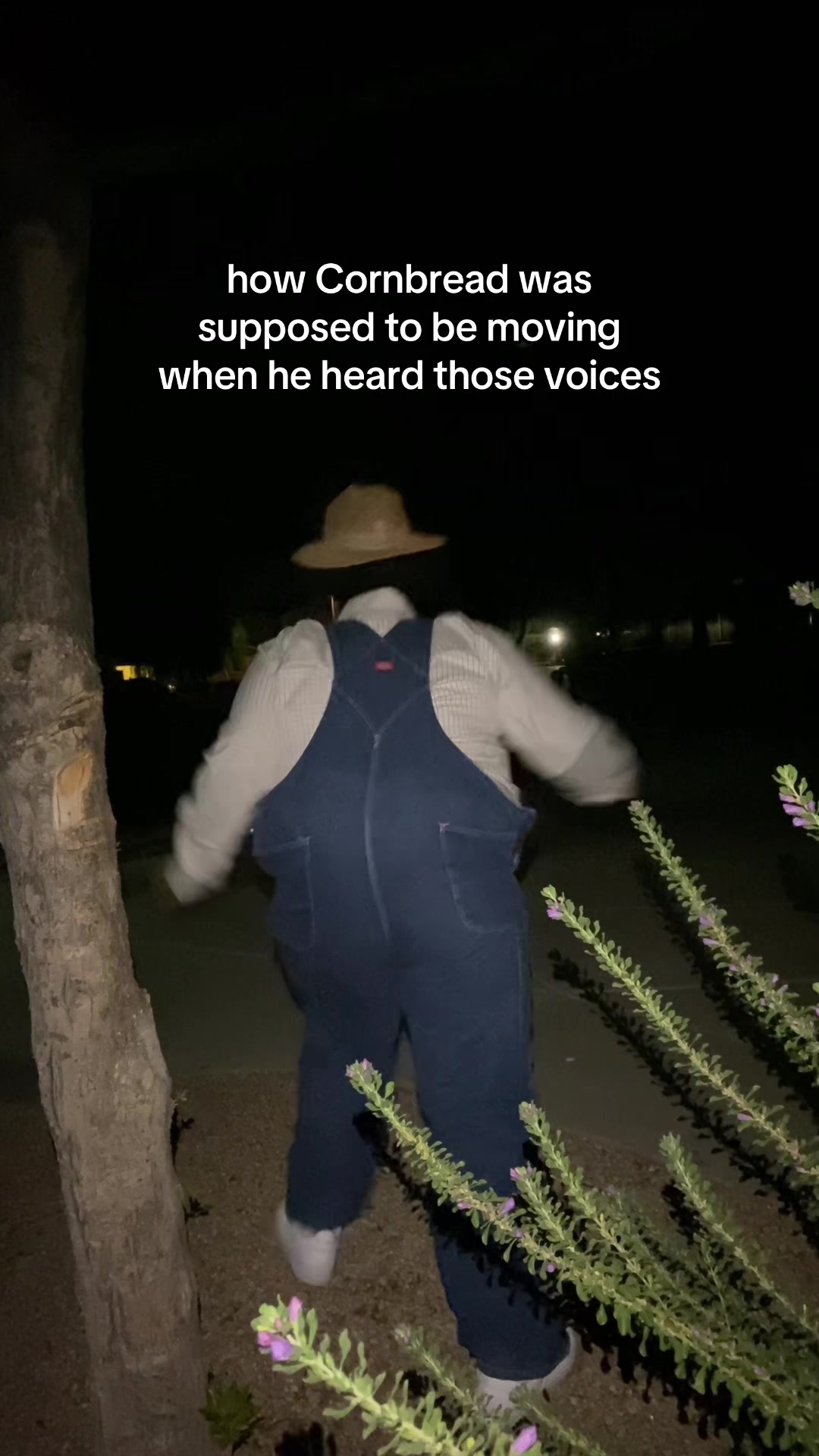 @LOLLEXI
