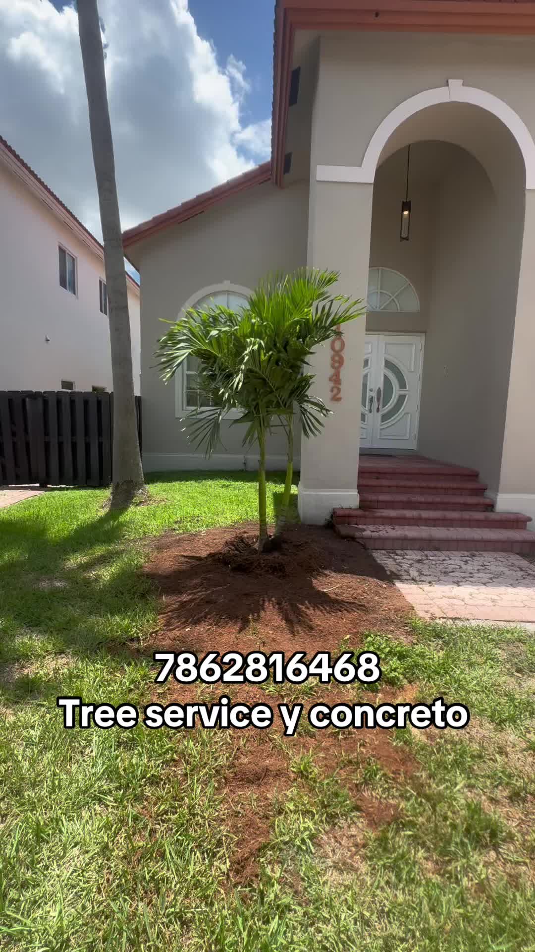 @Franco Tree Service Pro