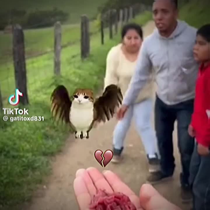 @el fan del uno
