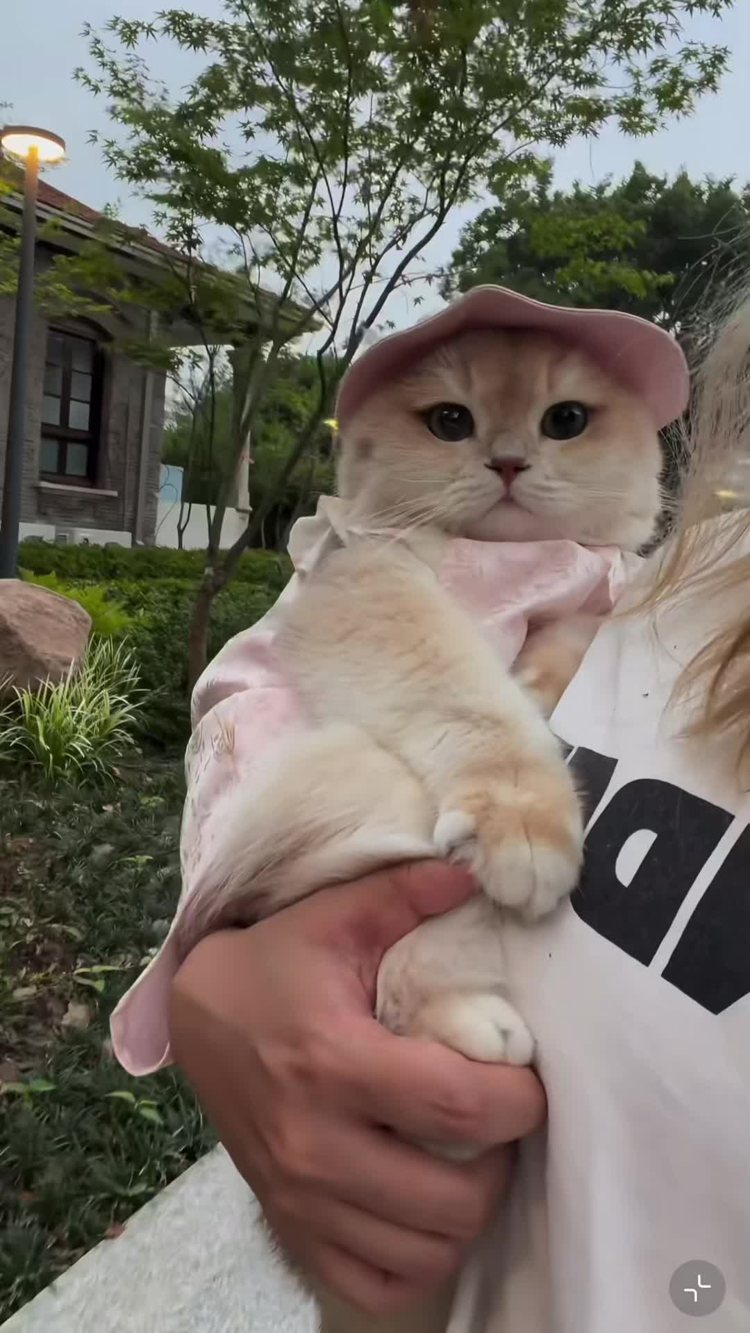 @My Daily Dose of Aww
