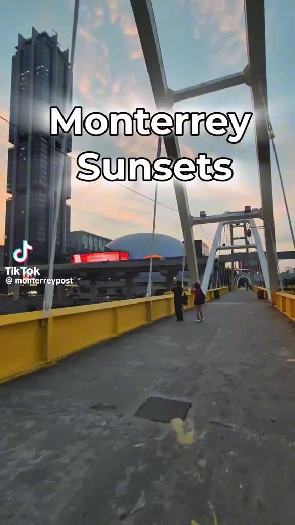 @José luis