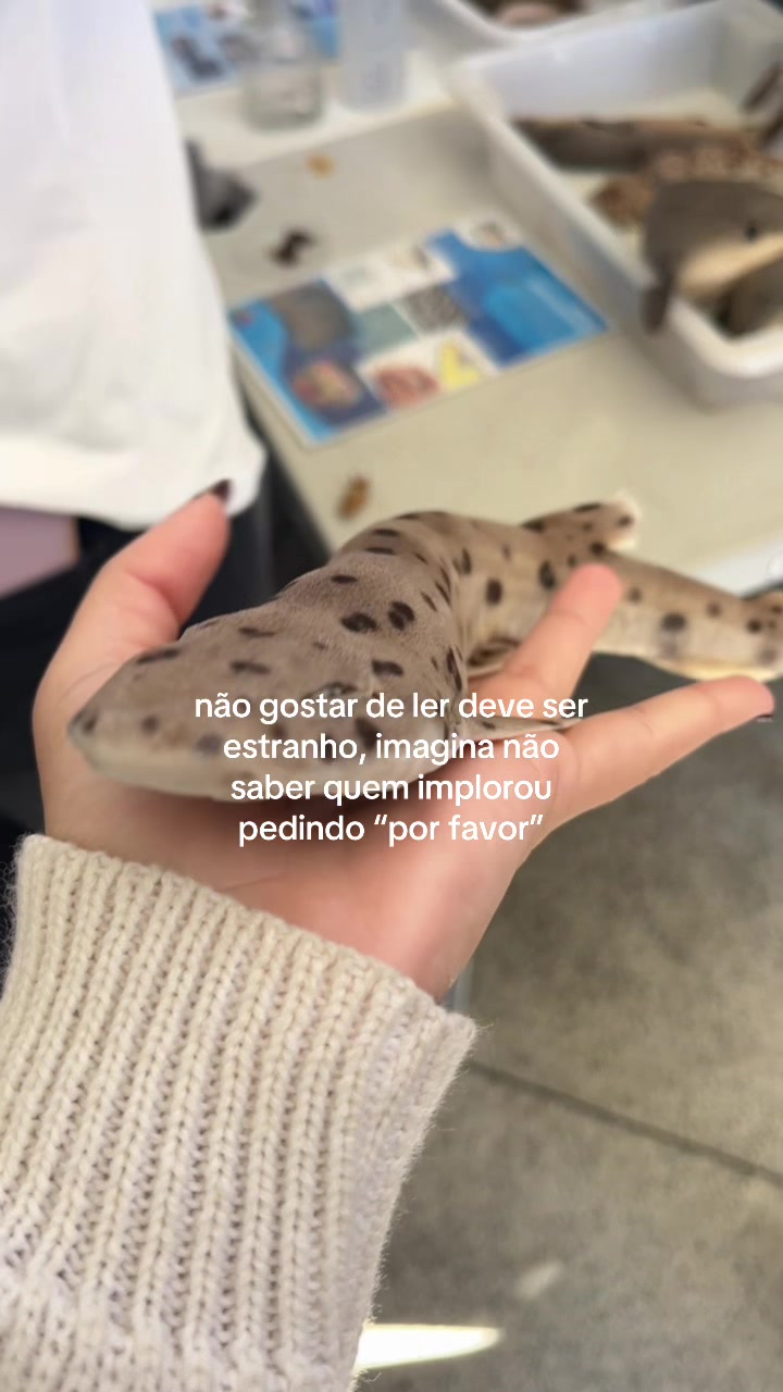 @alice