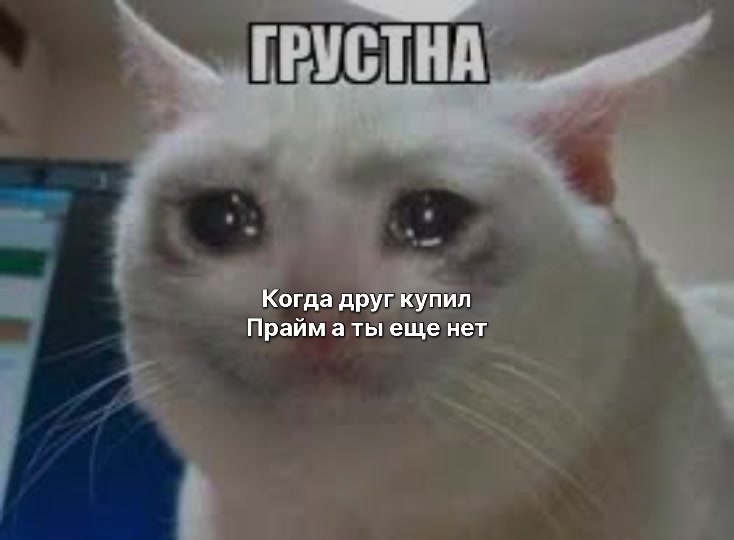 @gorarist