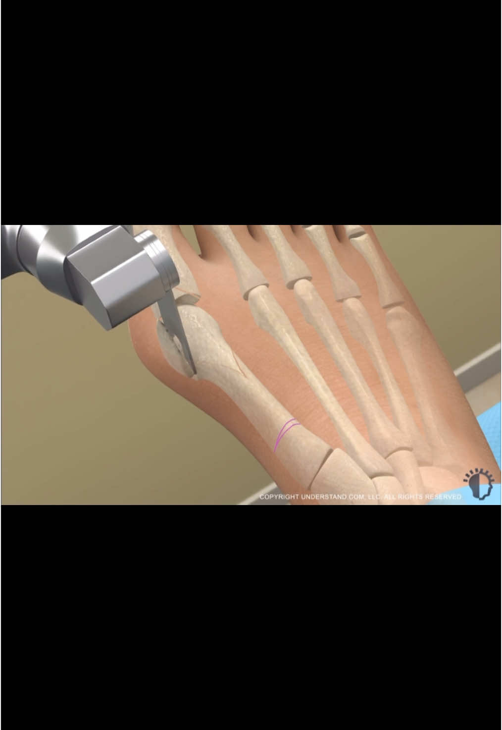 @Anatomias