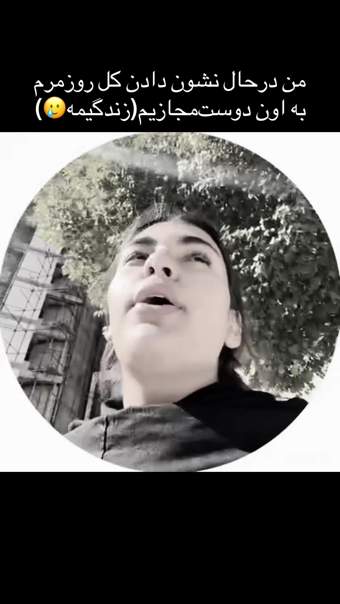 @Mehrsa