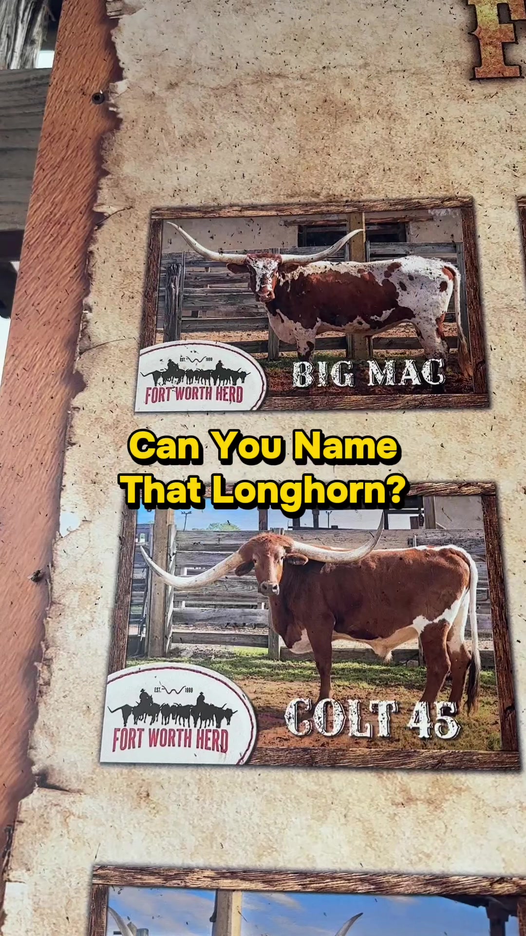 @Emily ✈️ Travel on a Budget