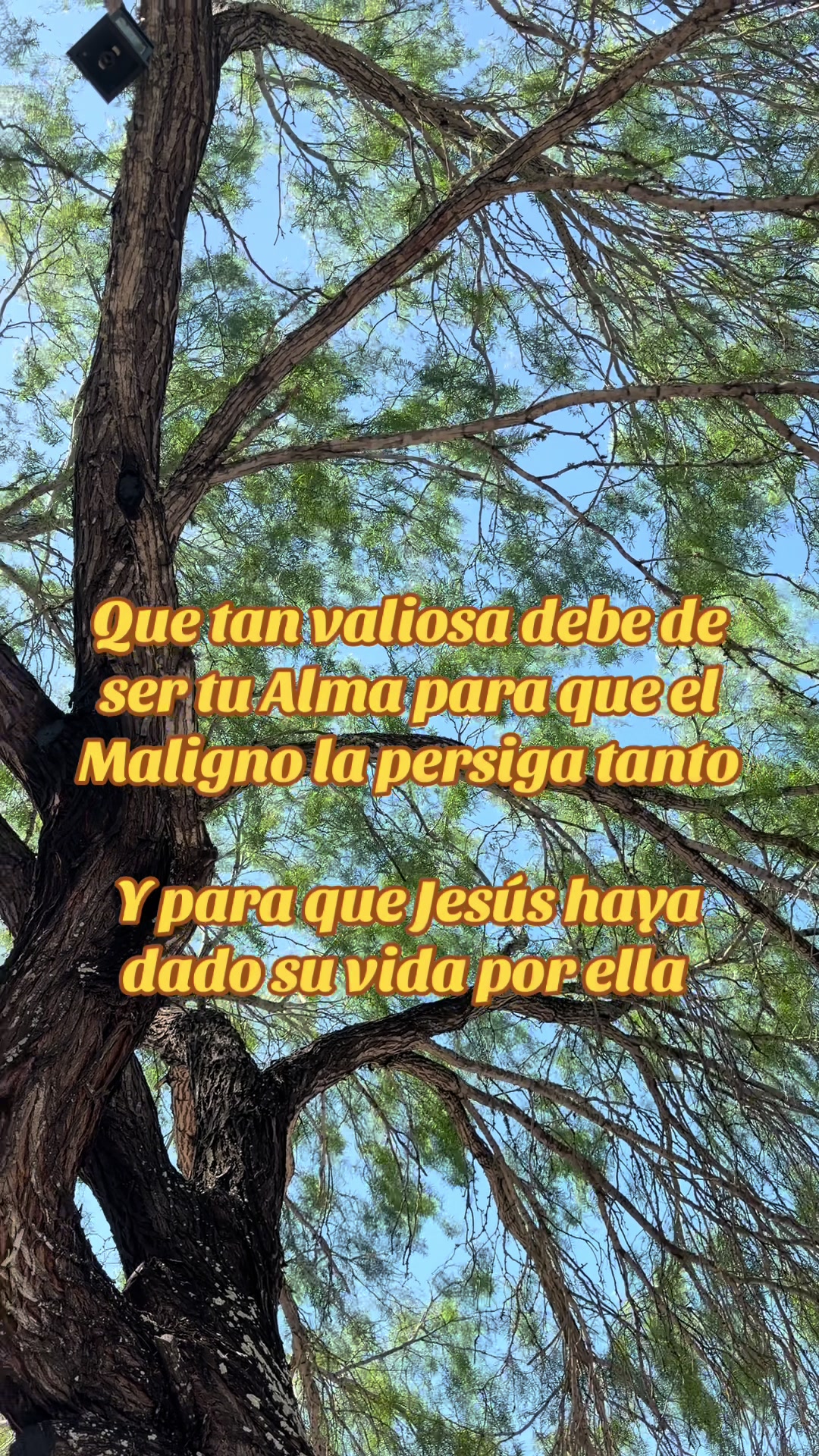 @Vero